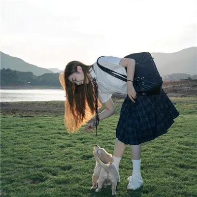 完美求婚